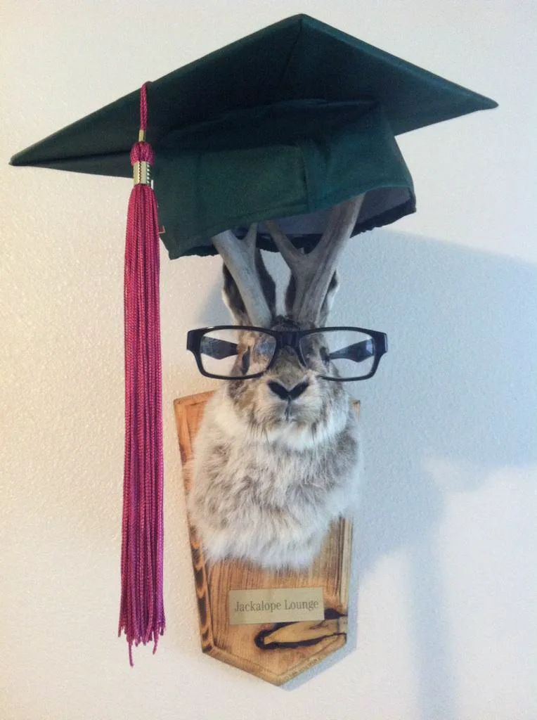 A taxidermy jackalope in glasses and a graduation cap, nameplated Jackalope Lounge